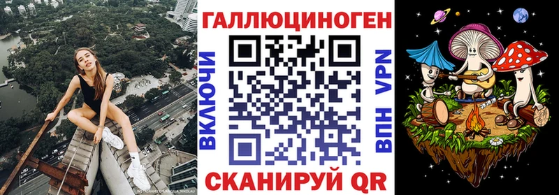 Купить где  Слободской  Псилоцибиновые грибы Psilocybine cubensis 