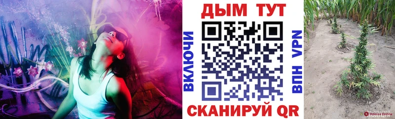 Шишки марихуана MAZAR  Купить закладки  Слободской 